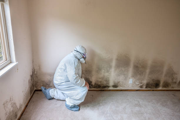 Water Damage Restoration in Strafford, MO